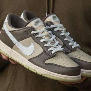 Nike SB Dunk Low Beige Brown